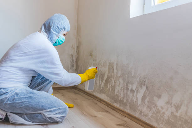 Licensed Commercial Mold Remediation service in Princeton, MN - WQB Mold Removal