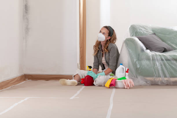 Reliable Commercial Mold Remediation contractor in Princeton, MN by WQB Mold Removal